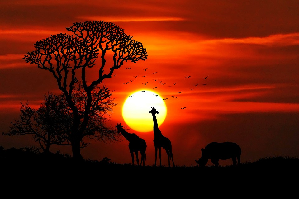 safari por Tanzania